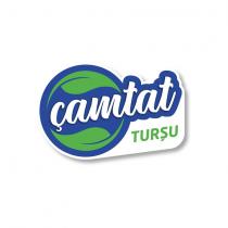 çamtat turşu