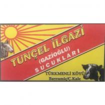 tunçel ilgazi gazioğlu sucukları türkmenli köyü bayramiç ç.kale