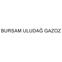 bursam uludağ gazoz