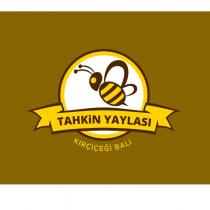 tahkin yaylası kırçiçeği balı