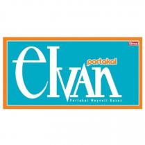 elvan portakal portakal meyveli gazoz