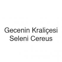 gecenin kraliçesi seleni cereus