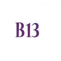b13