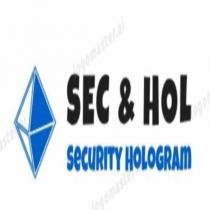 sec & hol security hologram