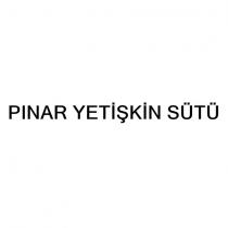 pınar yetişkin sütü