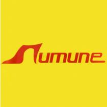 numune