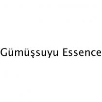 gümüşsuyu essence