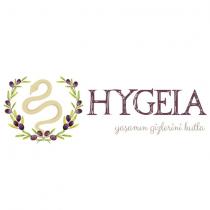 hygeia yaşamın gizlerini kutla