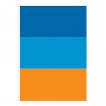 renk markası [(pantone 2945 c,pantone 300 u) (pantone process blue c, pantone process blue u) (pantone 021 c, pantone 021 u)]