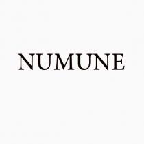 numune