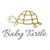 baby turtle