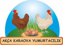 akça karova yumurtacılık