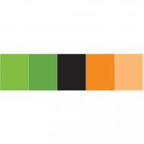 renk markası pantone 376 c, pantone 369 c, pantone black 6 c, pantone 144 c, pantone 144 c - %59