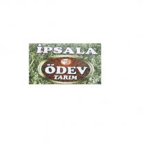ipsala ödev tarım