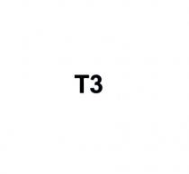 t3