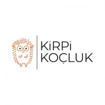 kirpi koçluk