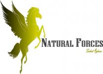 natural forces ferhat özkara