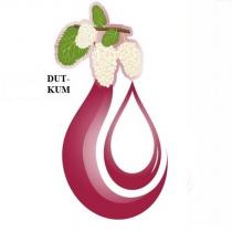 dut-kum