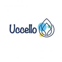 uccello