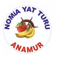 anamur nomia yat turu