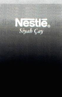 nestle siyah çay