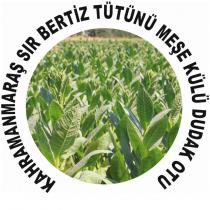 kahramanmaraş sır bertiz tütünü meşe külü dudak otu