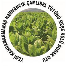 yeni kahramanmaraş harmancık çamlıbel tütünü meşe külü dudak otu