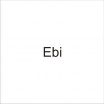 ebi