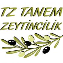 tz tanem zeytincilik