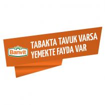 banvit tabakta tavuk varsa yemekte fayda var