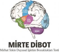mirte dibot mirhat tekin duyusal işletim bozuklukları testi dokunsal işletim sistemi tat işletim sistemi işitsel işletim sistemi konu işletim sistemi görsel işletim sistemi denge