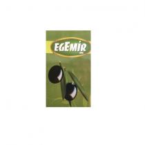 egemir org