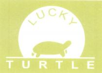 lucky turtle