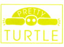 pretty turtle