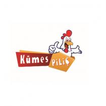 kümes piliç