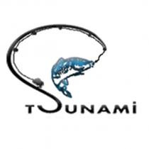 tsunami