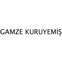 gamze kuruyemiş