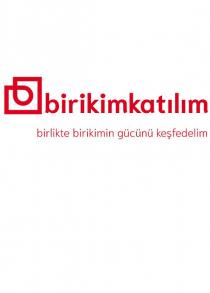 birikimkatılım birlikte birikimin gücünü keşfedelim