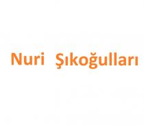 nuri şıkoğulları