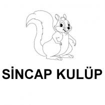 sincap kulüp