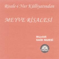 risale-i nur külliyatından meyve risalesi envar