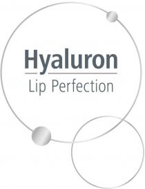 hyaluron lip perfection