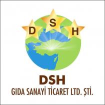 dsh gıda sanayi ticaret ltd.şti