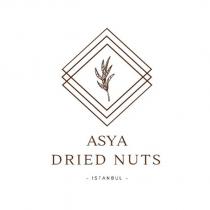 asya drıed nuts istanbul