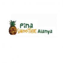 pina smoothie alanya