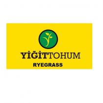 yiğit tohum ryegrass