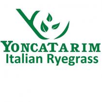 yoncatarım italian ryegrass