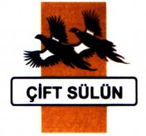 çift sülün