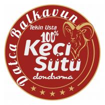 datça balkavun tekin usta 100% keçi sütü dondurma