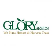 glory seeds we plant honest & harvest trust